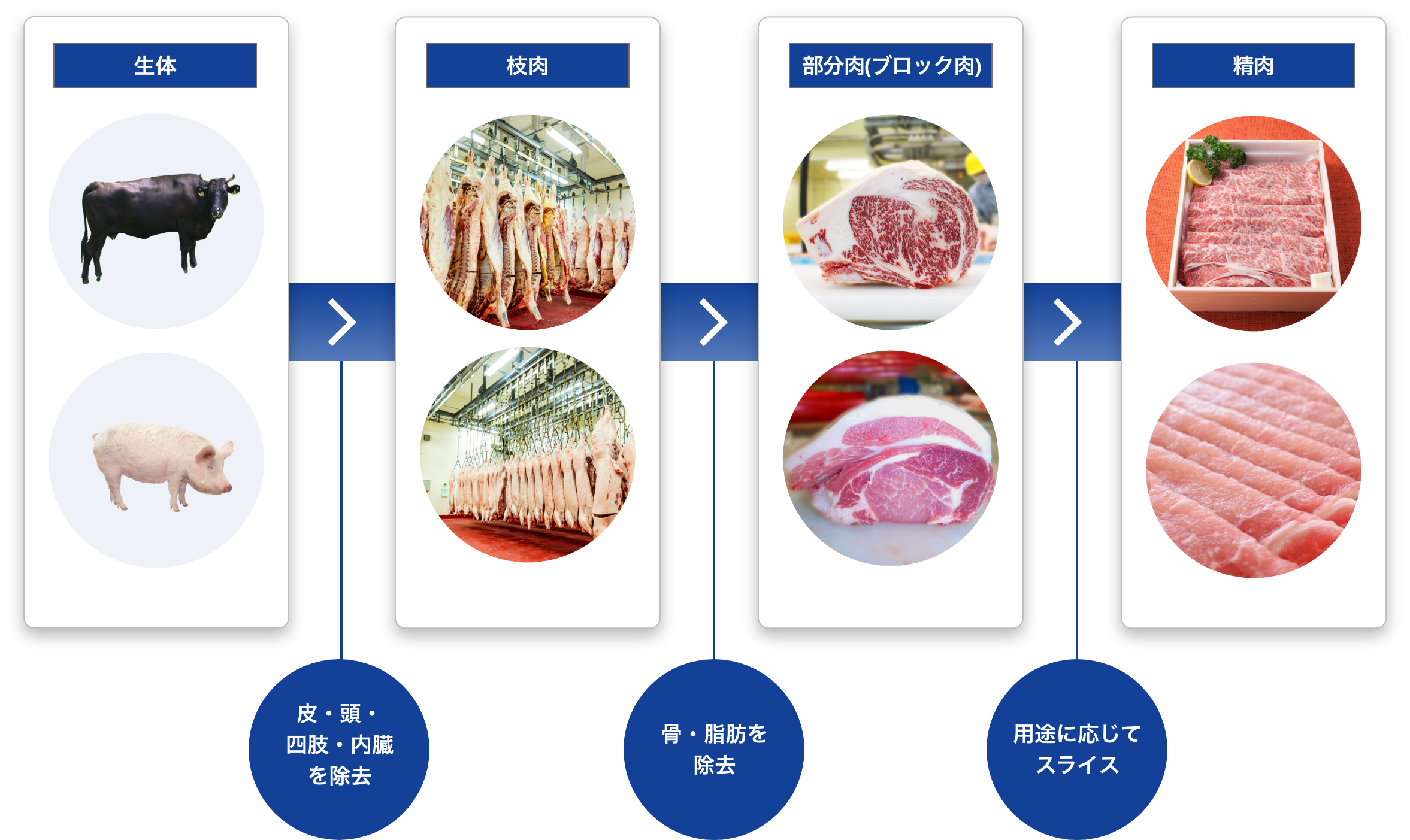 北海道畜産公社のシゴトイメージ画像